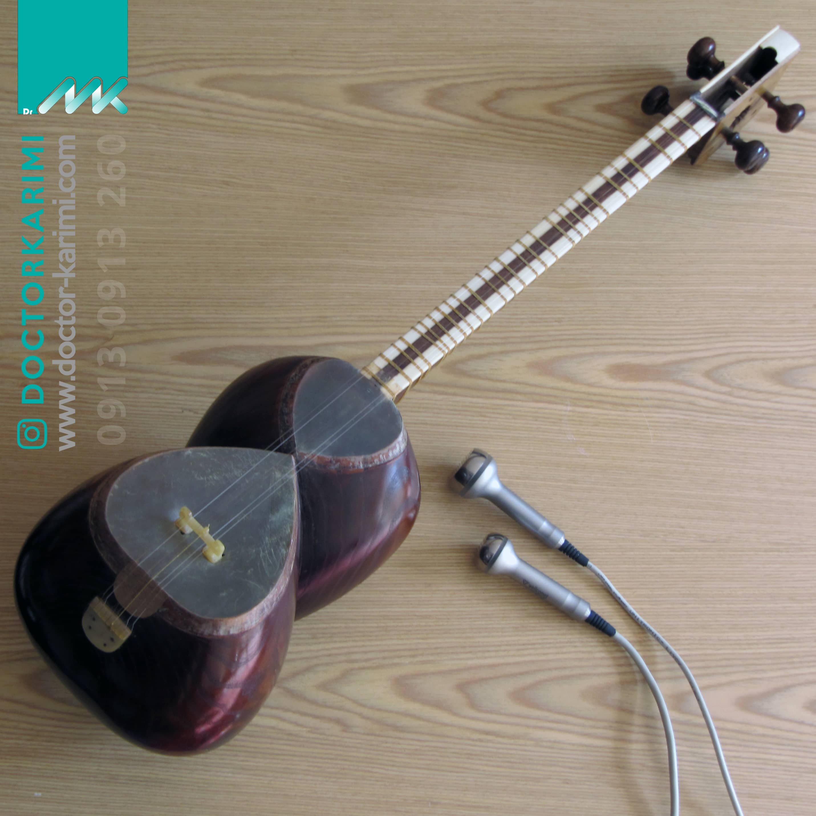 LDM MED by Dr. Maryam Karimi